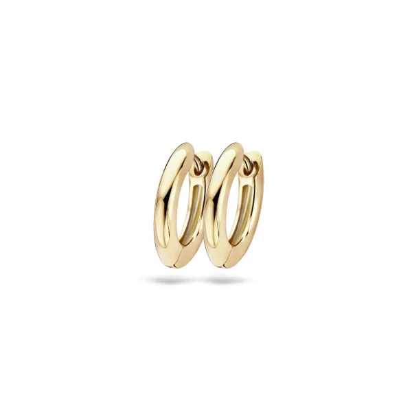 Blush Oorbellen 7133YGO