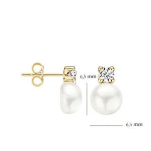 Blush Oorbellen 7147YPW