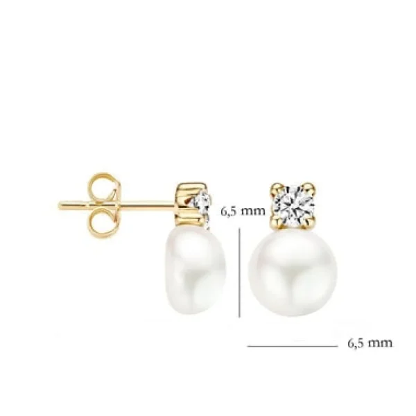 Blush Oorbellen 7147YPW