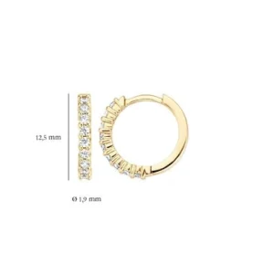 Blush Oorbellen 7166YZI