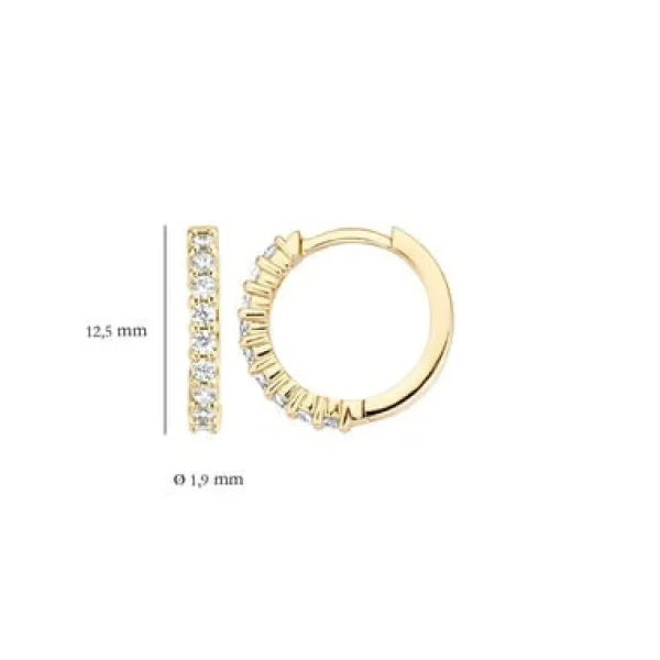 Blush Oorbellen 7166YZI